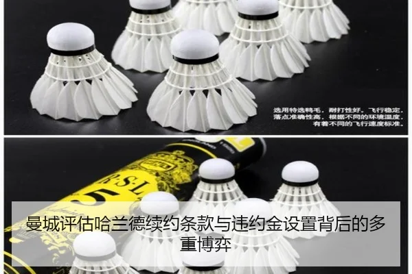 曼城评估哈兰德续约条款与违约金设置背后的多重博弈